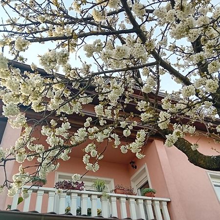 Apartman Nada Krapina Exteriör bild