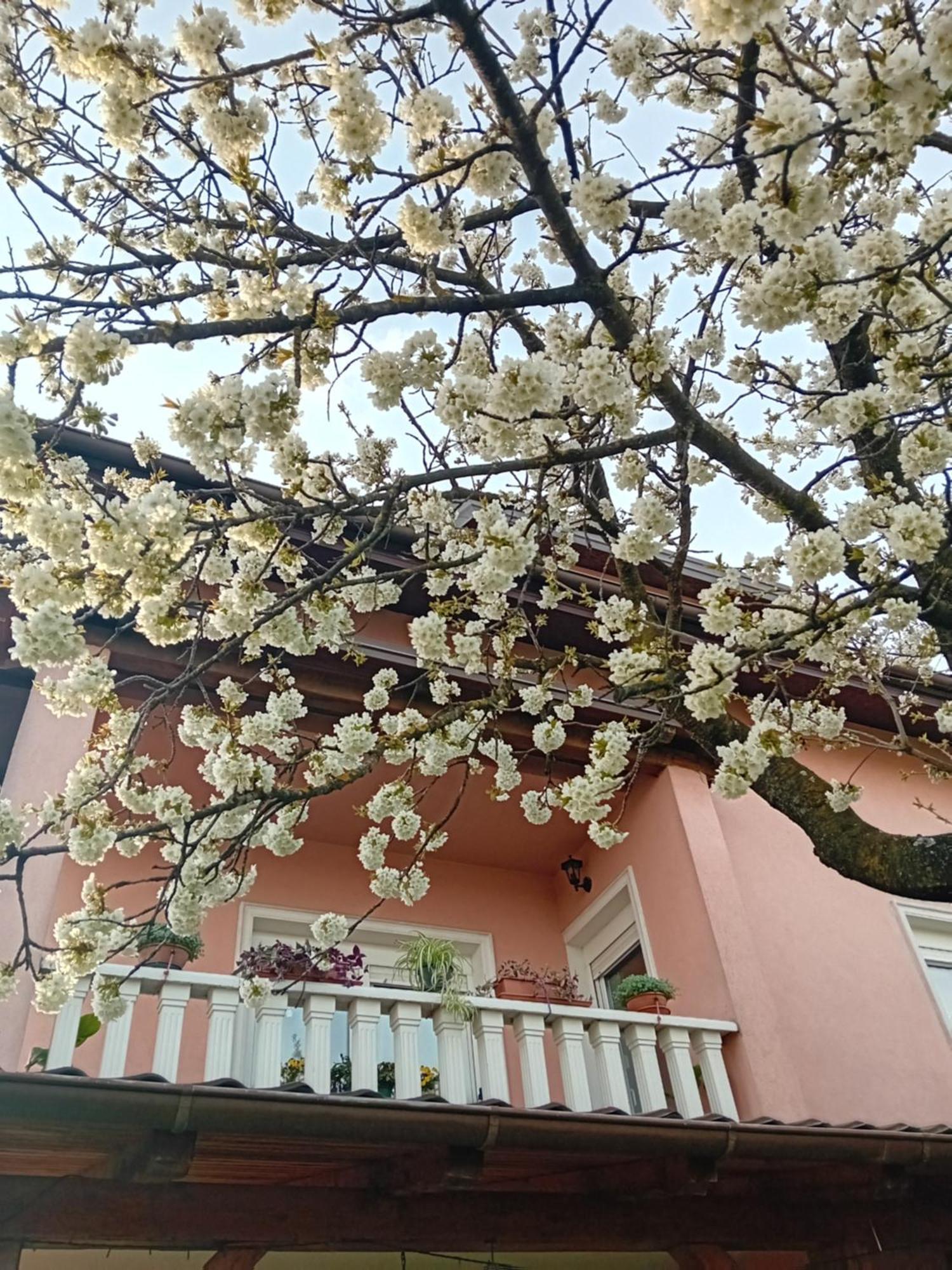 Apartman Nada Krapina Exteriör bild